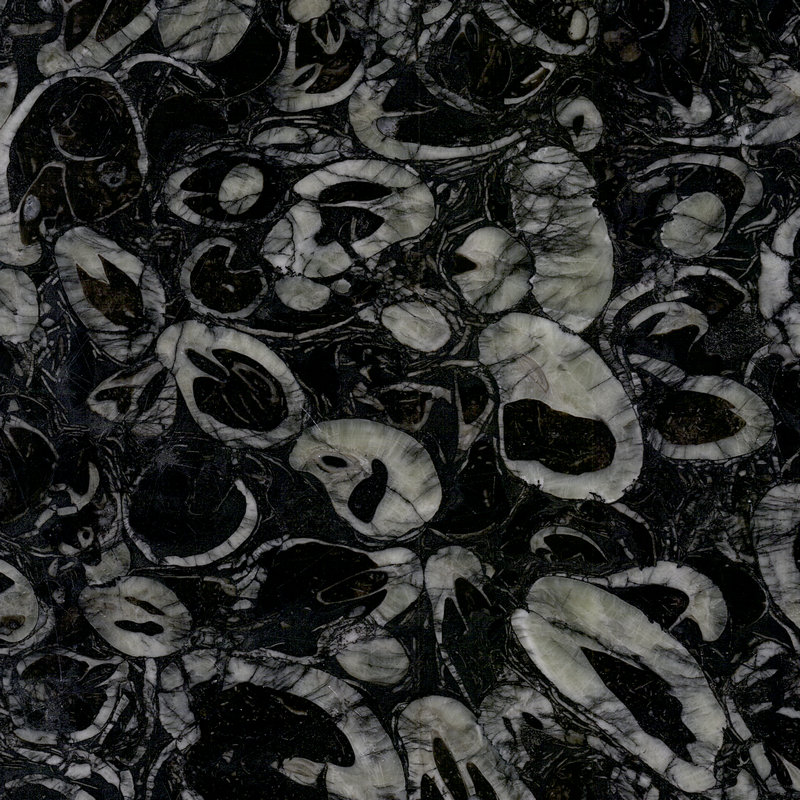Dream Circle granite